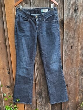 GAP Curvy Stretch Bootcut Jeans Size 10 Long Bowery